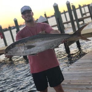 Meet your Posher, Anthony